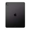 Picture of Apple iPad Pro 13" 256GB M4 2024 in Space Grey color MVX23K.